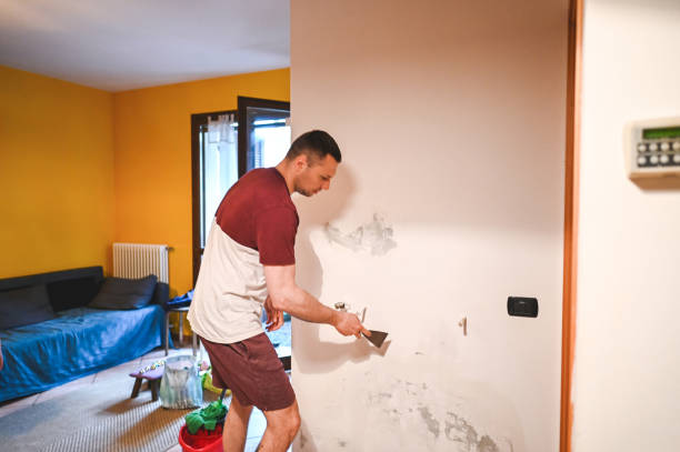 Best Same-Day Mold Removal  in Seabrook Island, SC